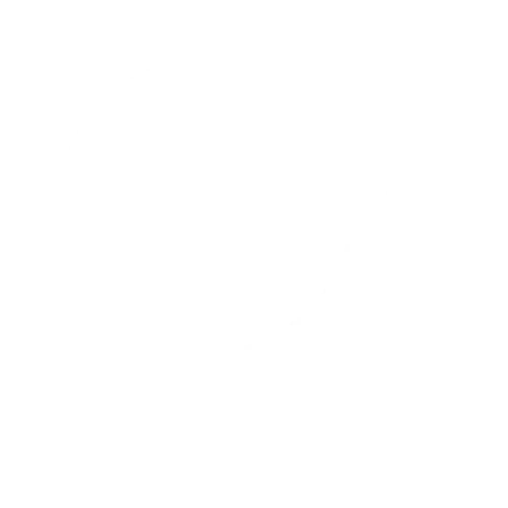 Search Icon