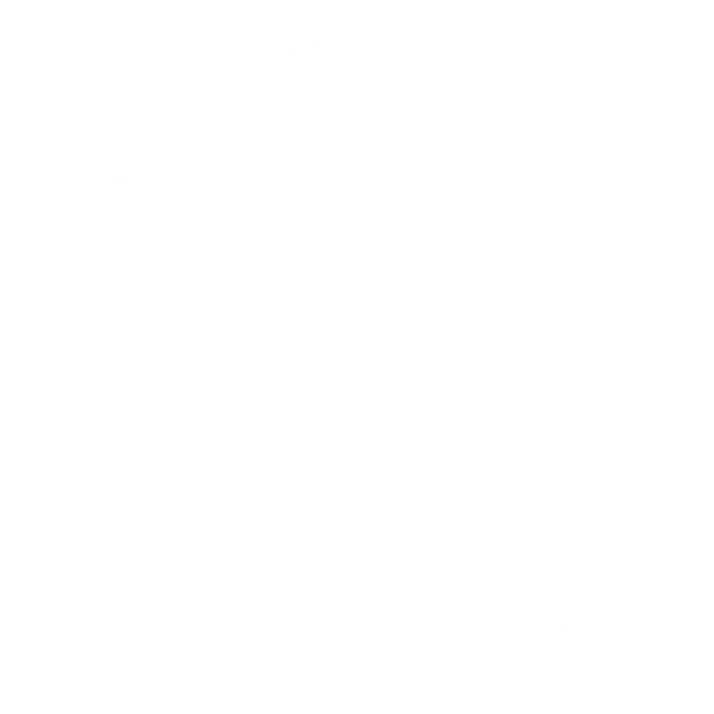 Shopping Cart Icon